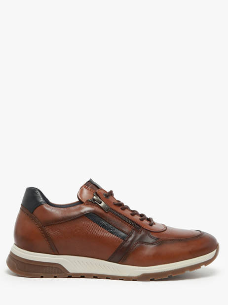 Sneakers Louis Uit Leder Fluchos Bruin men F1600