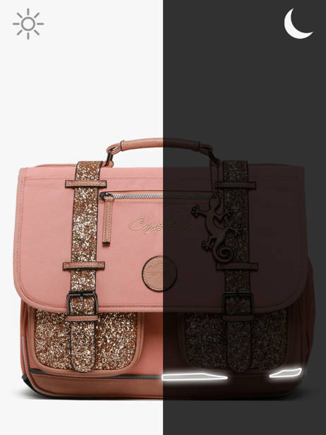 Boekentas Voor Kinderen 2 Compartimenten Cameleon Roze vintage fantasy CA38 ander zicht 7