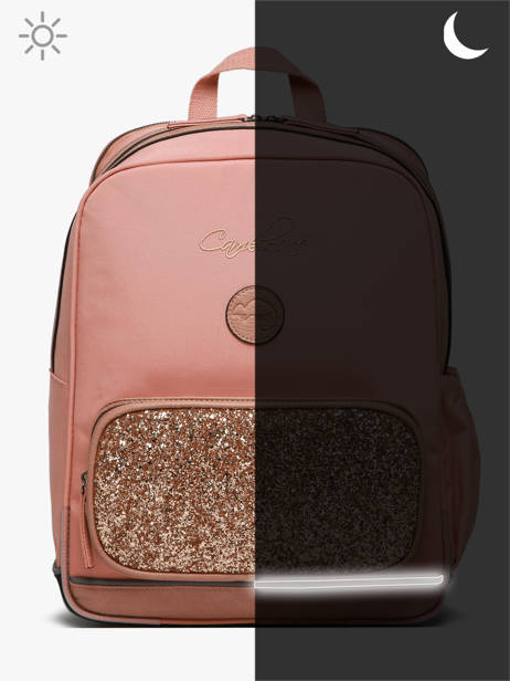 Rugzak 2 Compartimenten Cameleon Roze vintage fantasy SO40 ander zicht 8