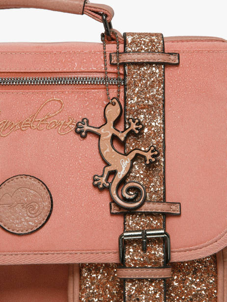 Rugzak 2 Compartimenten Cameleon Roze vintage fantasy SO40 ander zicht 6