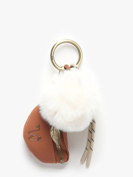 Tashengsel Crocus Woomen Bruin crocus WCRO94