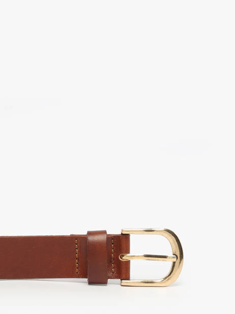 Riem Pieces Bruin june 17160105 ander zicht 2