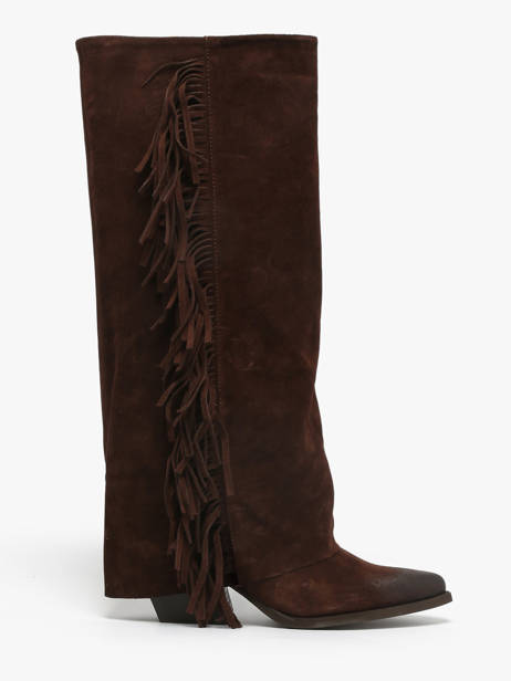 Laarzen Met Hak Uit Leder The icona Bruin women TX565