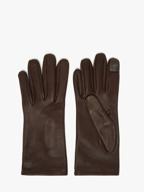 Dameshandschoenen Leder Etrier Bruin accessoires EGLO416G