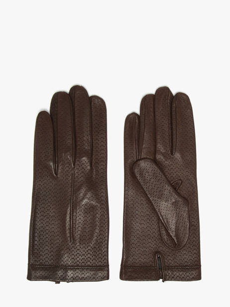 Handschoenen Omega Bruin women gloves 75D