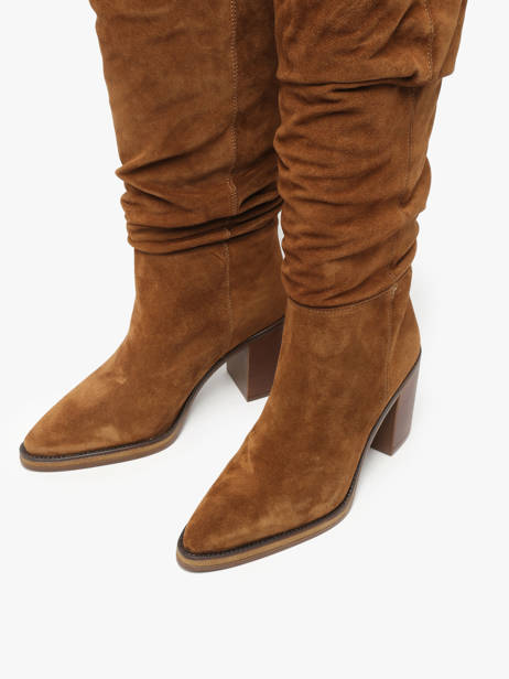 Laarzen Met Hak Camden Uit Leder Alpe Bruin accessoires 52191101 ander zicht 4