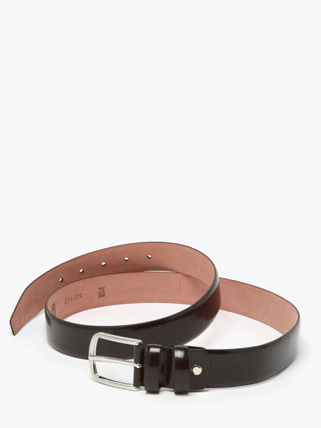 Riem Etrier Bruin bride EBRI715C ander zicht 2