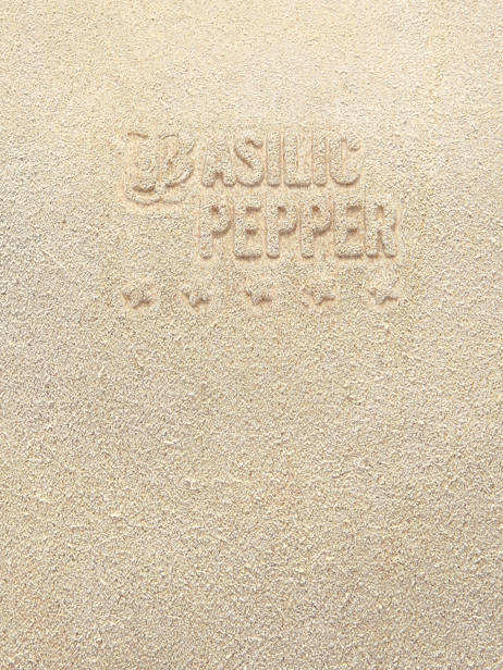 Handtassen Houston A4 Leder Basilic pepper Beige houston BHOU22 ander zicht 4