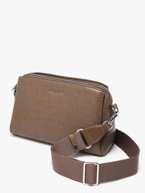 Cross Body Tas South Africa Polyurethaan David jones Bruin south africa CM8312 ander zicht 2