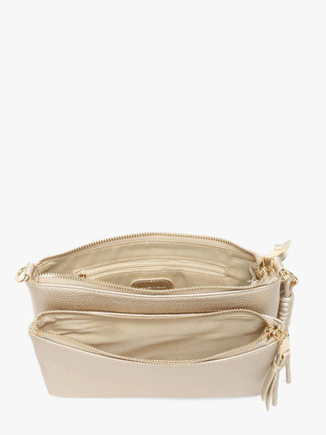 Cross Body Tas Estée Laurent david Goud ld bags 90 ander zicht 2