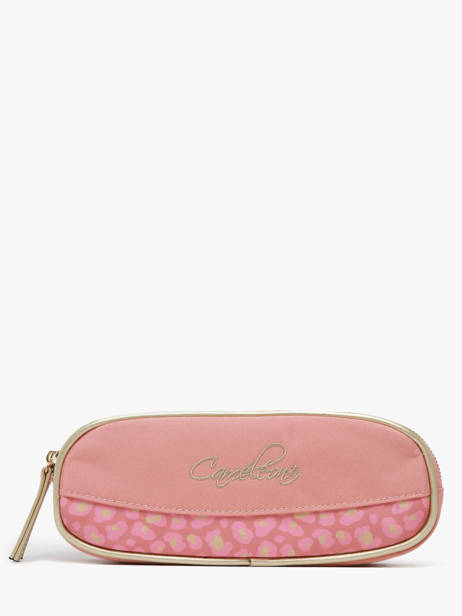 Pennenzak 2 Compartimenten Cameleon Roze vintage fantasy PBVGTROU