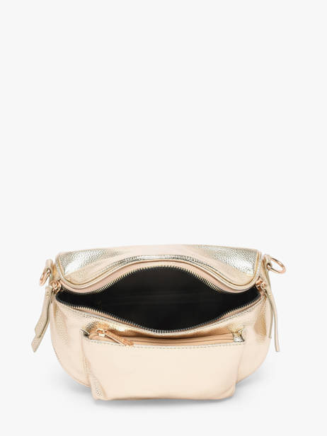 Heuptasje Miniprix Goud sangle 1 ander zicht 1