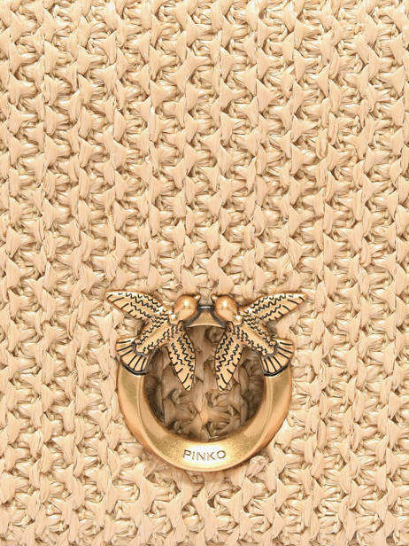 Cross Body Tas Love Bag Soft Raphia Pinko Beige love bag soft 6023A391 ander zicht 2