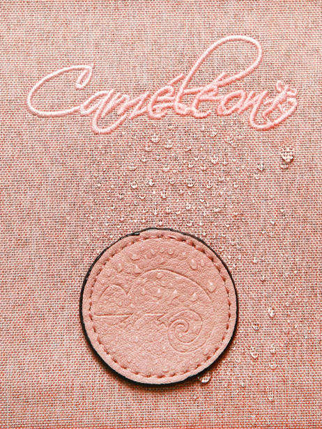Boekentas 3 Compartimenten Cameleon Roze vintage color VIC-CA41 ander zicht 8