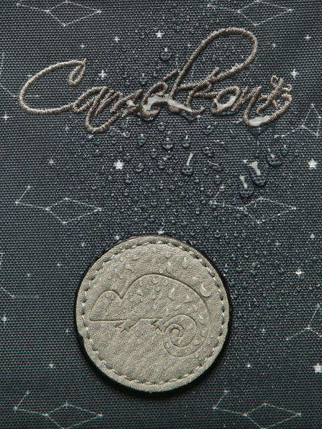 Boekentas Voor Kinderen 2 Compartimenten Cameleon Grijs vintage urban CA35 ander zicht 8