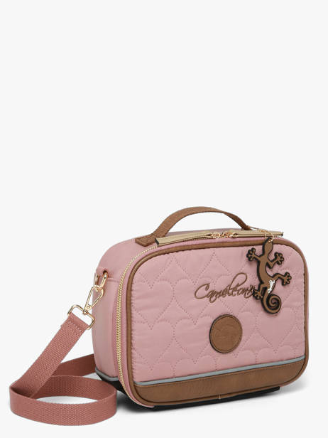 Lunchtas Cameleon Bruin vintage fantasy BL24 ander zicht 3