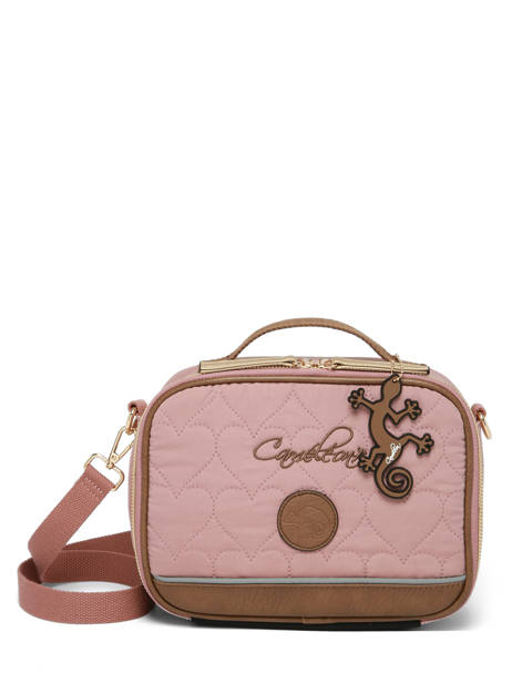 Lunchtas Cameleon Bruin vintage fantasy BL24 ander zicht 6