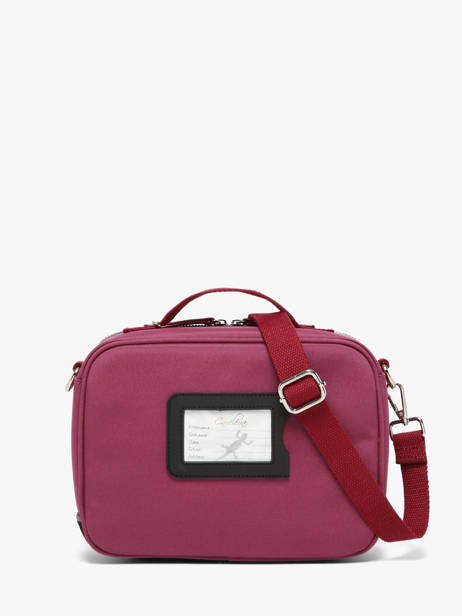 Lunchtas Cameleon Violet vintage fantasy BL24 ander zicht 5