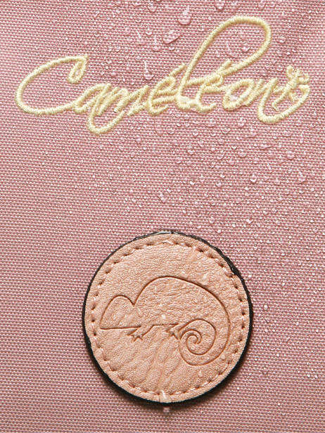 Boekentas Kinderen 2 Compartimenten Cameleon Roze vintage fantasy CA35 ander zicht 8