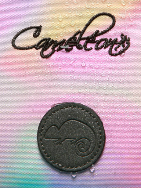 Rugzak 1 Compartiment Vintage Fantasy Cameleon Roze vintage fantasy SD33 ander zicht 6