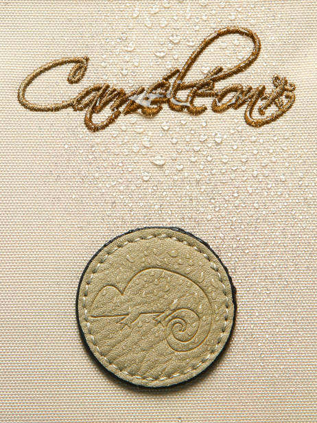 Rugzak 2 Compartimenten Cameleon Beige vintage fantasy SO40 ander zicht 8