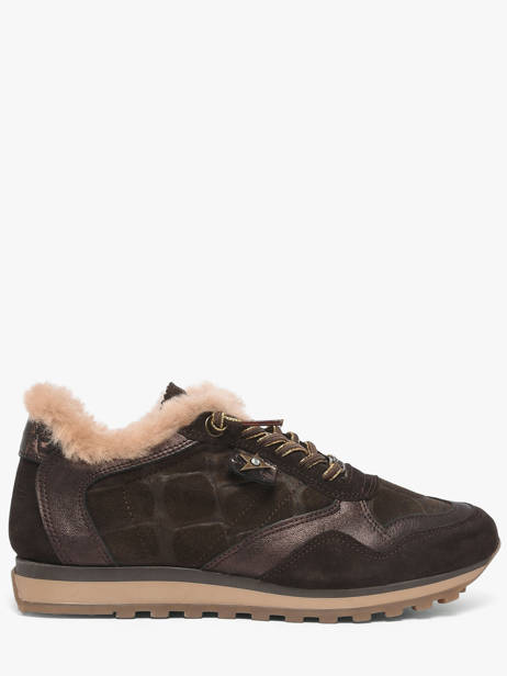 Sneakers Cetti Bruin women SRA
