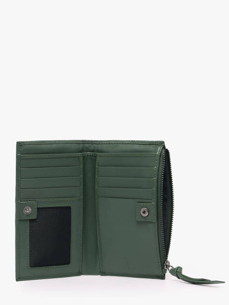 Portefeuille Leder Biba Groen wallet 12138 ander zicht 1
