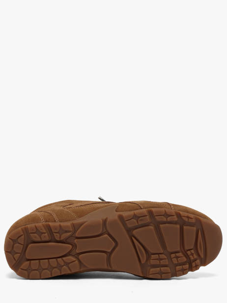 Sneakers Uit Leder Steve madden Bruin women 11005159 ander zicht 4