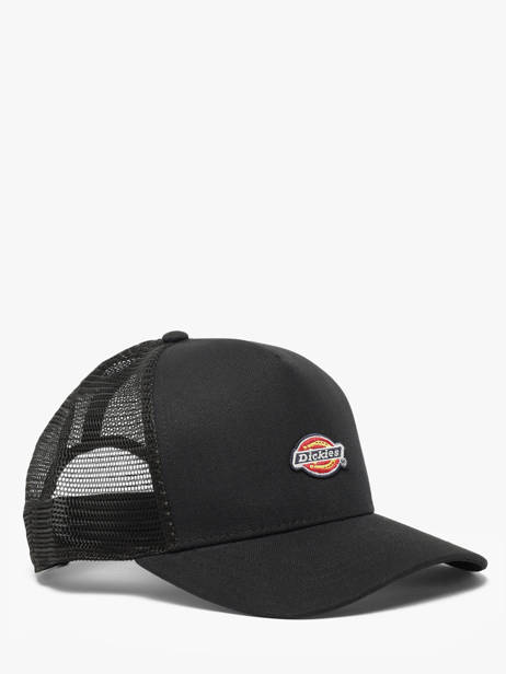 Pet Dickies Zwart accessoires DK0A4YV3 ander zicht 1