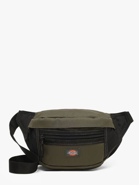 Heuptasje Dickies Groen bags DK0A4Y1U