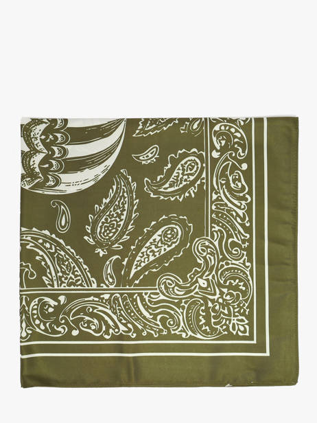 Foulard Le voyage en panier Groen accessoires AHF008 ander zicht 1