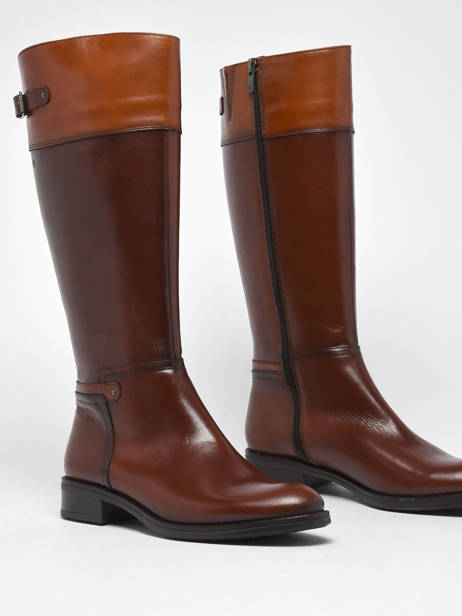 Laarzen Tierra Uit Leder Dorking Bruin theme D7687 ander zicht 1