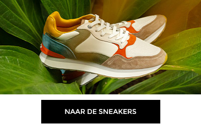 goedkope sneakers